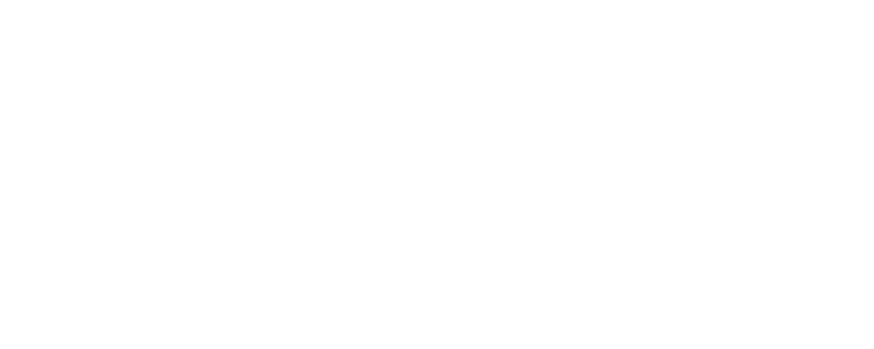 IEEE BSB Logo